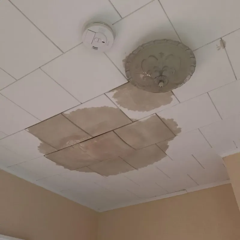 Ceiling Water Damage Repair in Dent, OH