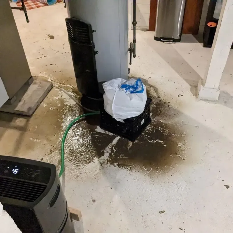 Sewage Backup Cleanup Service in Dent, OH